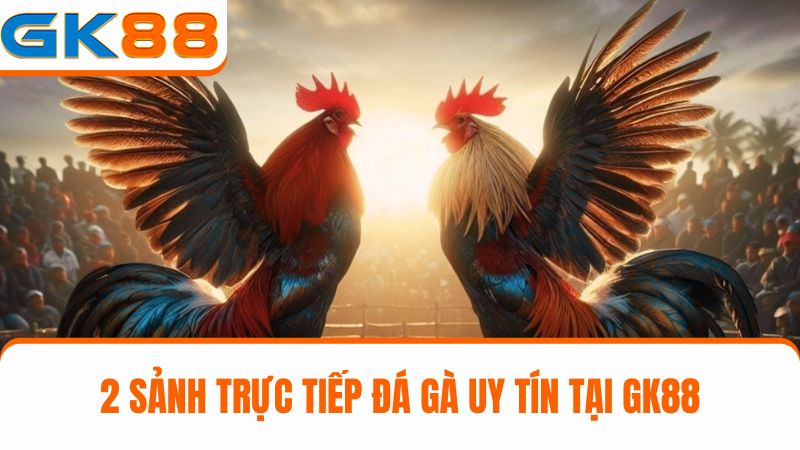 2 Sảnh Trực tiếp đá gà GK88