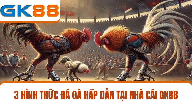 3 hình thức đá gà GK88