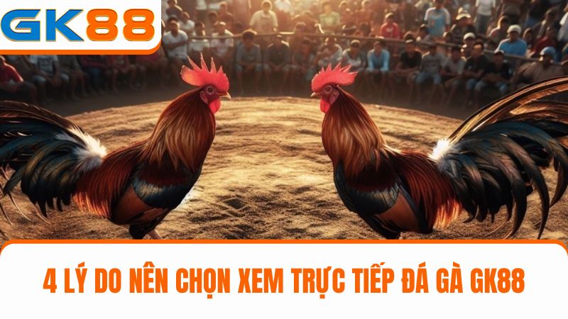 lý do người chơi nên xem Trực tiếp đá gà GK88