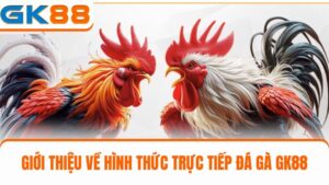 Trực tiếp đá gà GK88
