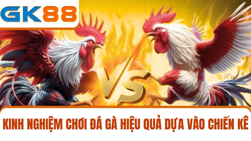 Kinh nghiệm chơi đá gà GK88
