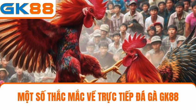 thắc mắc thường gặp về Trực tiếp đá gà GK88