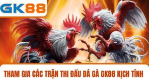 đá gà GK88