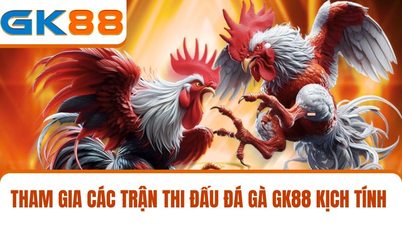 đá gà GK88